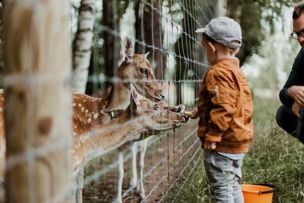 Quels sont les tarifs du zoo de la Flèche ?